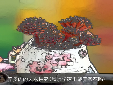 养多肉的风水讲究(风水学家里能养茶花吗)