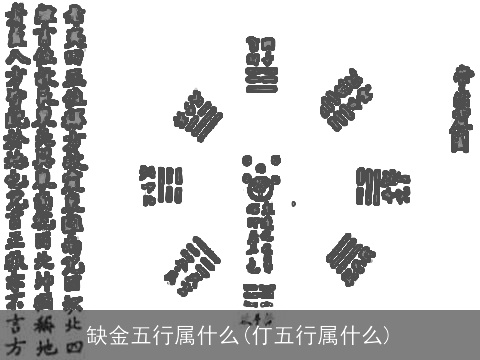 缺金五行属什么(仃五行属什么)