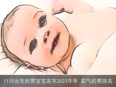 11月出生的男宝宝名字2023牛年 霸气的男孩名