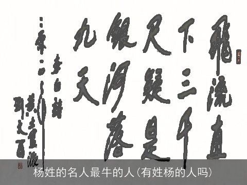 杨姓的名人最牛的人(有姓杨的人吗)