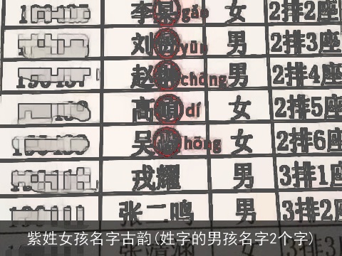 紫姓女孩名字古韵(姓字的男孩名字2个字)