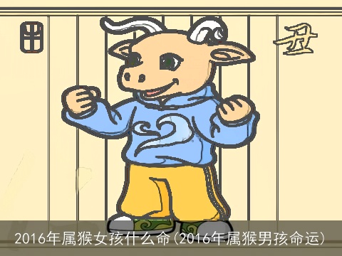 2016年属猴女孩什么命(2016年属猴男孩命运)
