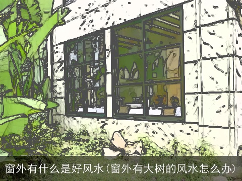 窗外有什么是好风水(窗外有大树的风水怎么办)