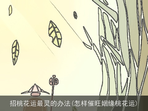 招桃花运最灵的办法(怎样催旺姻缘桃花运)