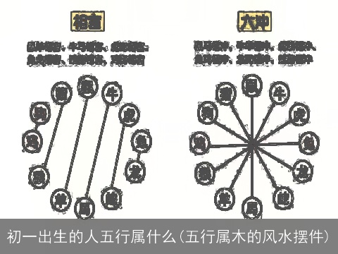 初一出生的人五行属什么(五行属木的风水摆件)