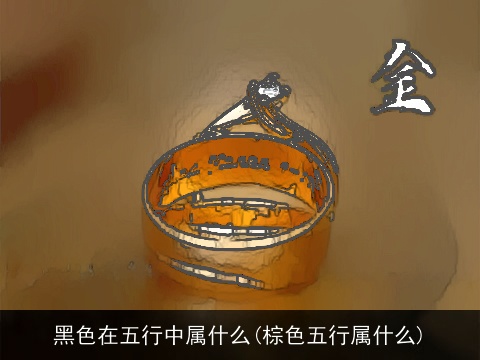 黑色在五行中属什么(棕色五行属什么)