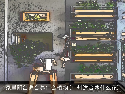 家里阳台适合养什么植物(广州适合养什么花)