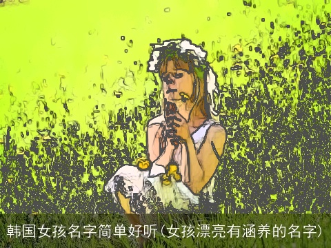 韩国女孩名字简单好听(女孩漂亮有涵养的名字)