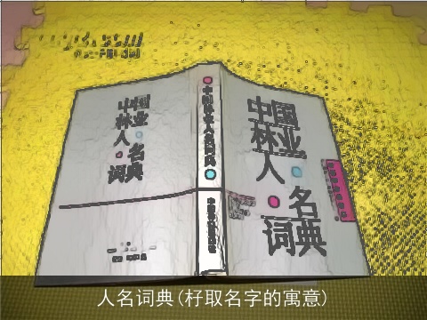 人名词典(杍取名字的寓意)