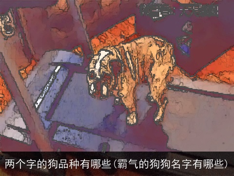 两个字的狗品种有哪些(霸气的狗狗名字有哪些)