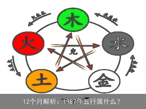 12个月解析：1987年五行属什么？