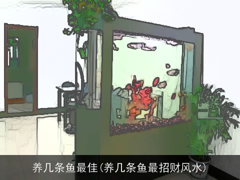 养几条鱼最佳(养几条鱼最招财风水)