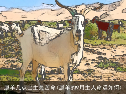 属羊几点出生最苦命(属羊的9月生人命运如何)