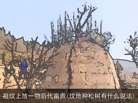 祖坟上放一物后代富贵(坟地种松树有什么说法)