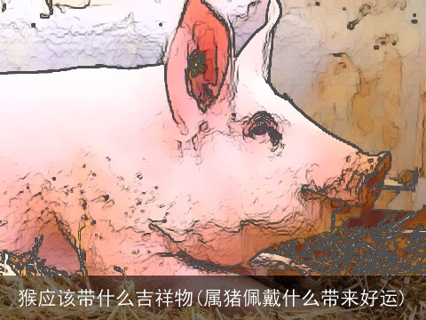 猴应该带什么吉祥物(属猪佩戴什么带来好运)