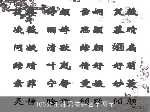 100分王姓男孩好名字两字