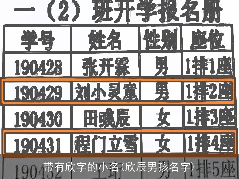 带有欣字的小名(欣辰男孩名字)