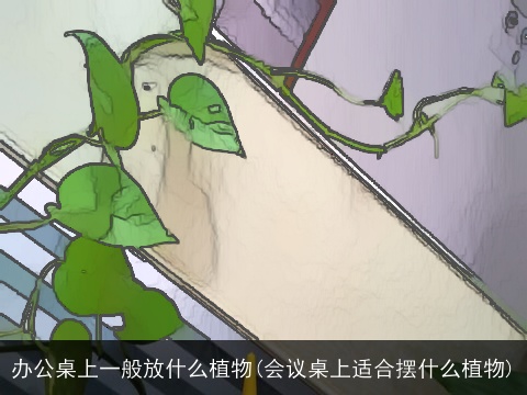 办公桌上一般放什么植物(会议桌上适合摆什么植物)