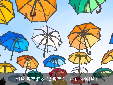 照片名字怎么起名字(一把雨伞图片)