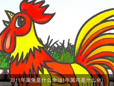 2011年属兔是什么命(81年属鸡是什么命)