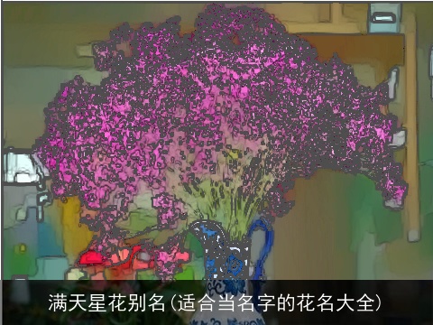 满天星花别名(适合当名字的花名大全)