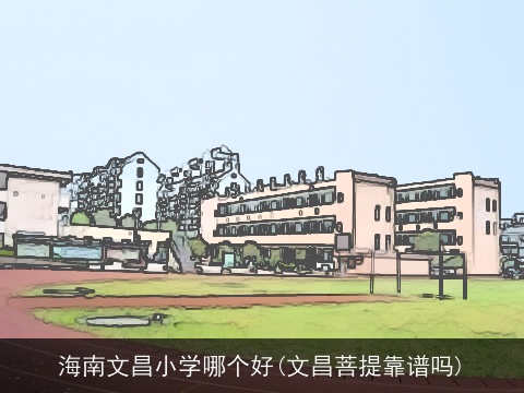 海南文昌小学哪个好(文昌菩提靠谱吗)