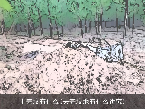 上完坟有什么(去完坟地有什么讲究)