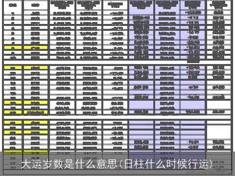 大运岁数是什么意思(日柱什么时候行运)