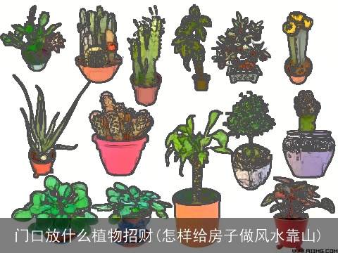 门口放什么植物招财(怎样给房子做风水靠山)