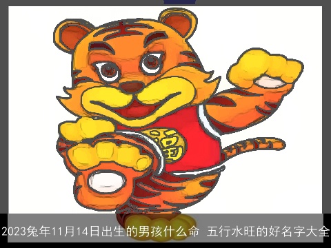 2023兔年11月14日出生的男孩什么命 五行水旺的好名字大全