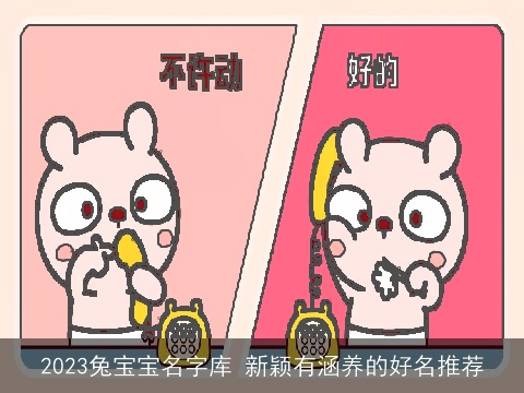 2023兔宝宝名字库 新颖有涵养的好名推荐