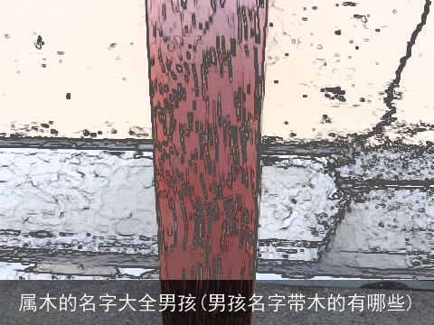 属木的名字大全男孩(男孩名字带木的有哪些)