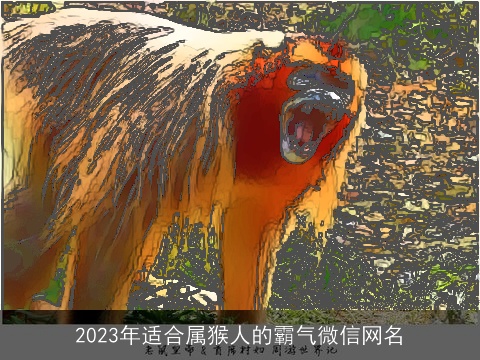 2023年适合属猴人的霸气微信网名