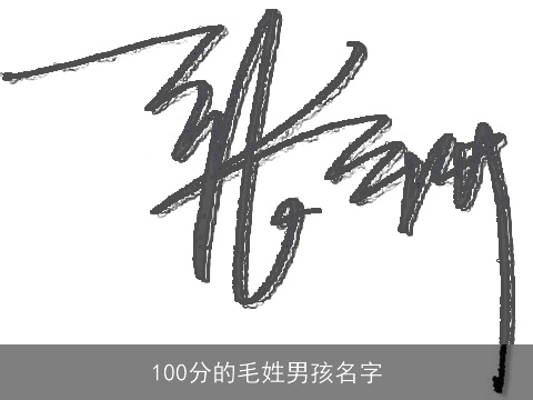 100分的毛姓男孩名字