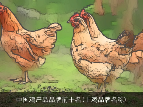 中国鸡产品品牌前十名(土鸡品牌名称)