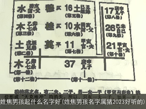 姓焦男孩起什么名字好(姓焦男孩名字属猪2023好听的)