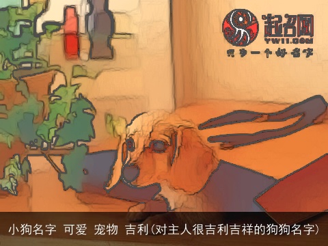 小狗名字 可爱 宠物 吉利(对主人很吉利吉祥的狗狗名字)