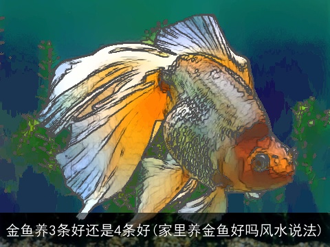 金鱼养3条好还是4条好(家里养金鱼好吗风水说法)