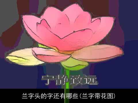 兰字头的字还有哪些(兰字带花图)