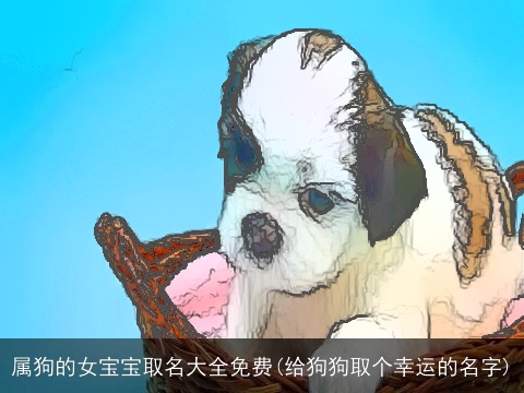 属狗的女宝宝取名大全免费(给狗狗取个幸运的名字)