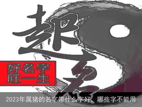 2023年属猪的名字带什么字好，哪些字不能用