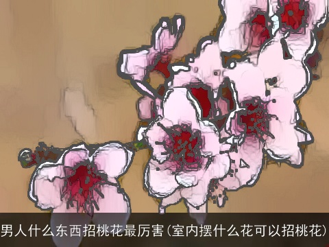 男人什么东西招桃花最厉害(室内摆什么花可以招桃花)