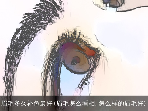 眉毛多久补色最好(眉毛怎么看相,怎么样的眉毛好)