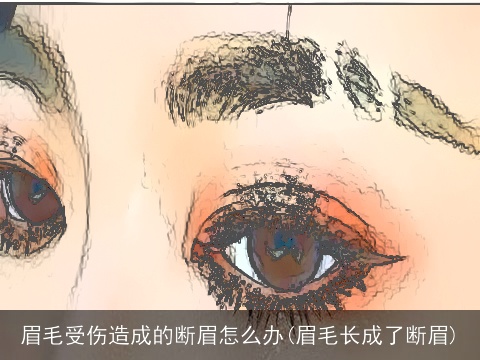 眉毛受伤造成的断眉怎么办(眉毛长成了断眉)