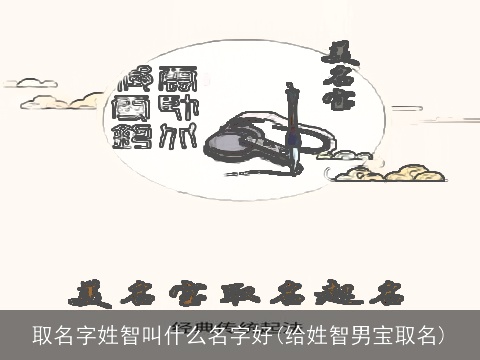 取名字姓智叫什么名字好(给姓智男宝取名)