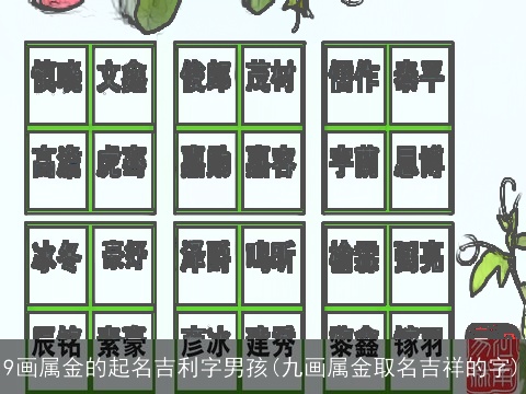 9画属金的起名吉利字男孩(九画属金取名吉祥的字)
