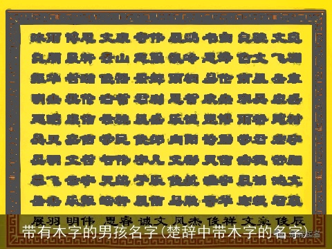 带有木字的男孩名字(楚辞中带木字的名字)