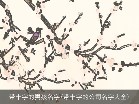 带丰字的男孩名字(带丰字的公司名字大全)