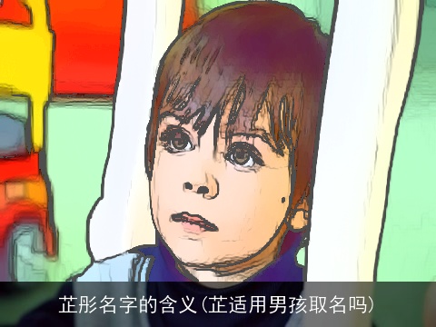 芷彤名字的含义(芷适用男孩取名吗)