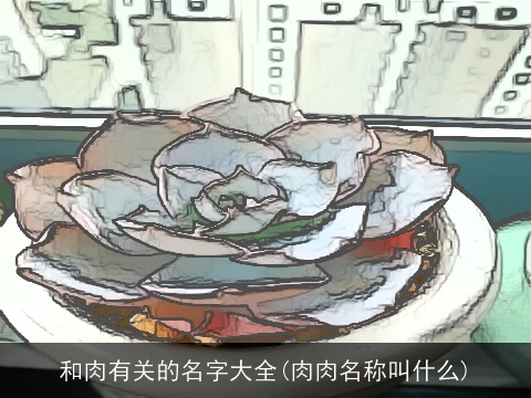 和肉有关的名字大全(肉肉名称叫什么)